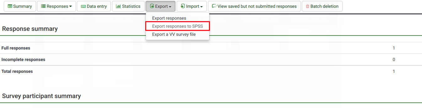 Export2Spss.png